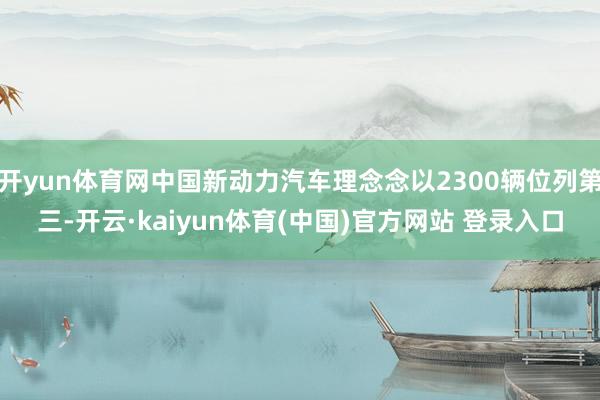 开yun体育网中国新动力汽车理念念以2300辆位列第三-开云·kaiyun体育(中国)官方网站 登录入口