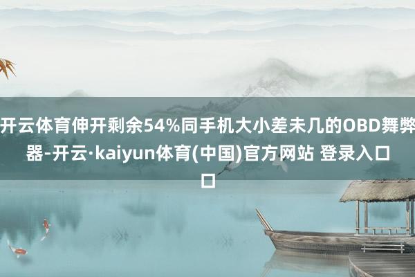 开云体育伸开剩余54%同手机大小差未几的OBD舞弊器-开云·kaiyun体育(中国)官方网站 登录入口