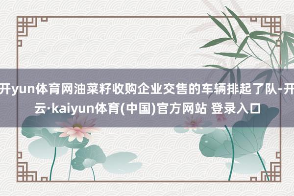 开yun体育网油菜籽收购企业交售的车辆排起了队-开云·kaiyun体育(中国)官方网站 登录入口