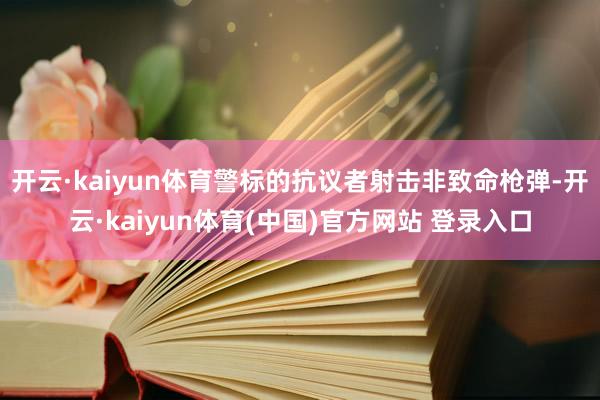 开云·kaiyun体育警标的抗议者射击非致命枪弹-开云·kaiyun体育(中国)官方网站 登录入口
